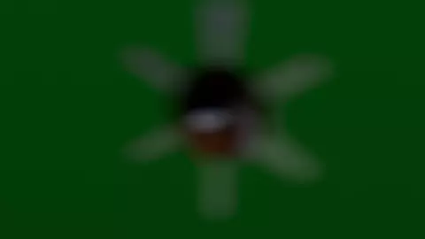 frederika want`s to taste something (no sound)