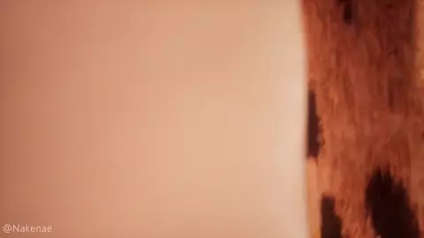 Wildlife - PREY Zuri