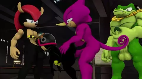 Gender Swap Chaotix