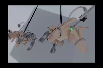 FGGB ep 25 Shisihiro vtuber