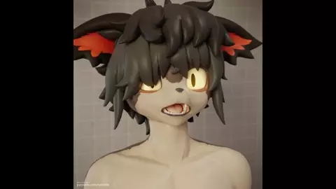 Sera Shark - 3 in 1 version