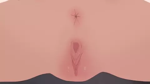 【Ginhaha】2024.05 Marcille2