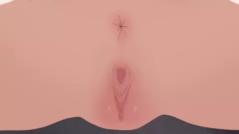 【Ginhaha】2024.05 Marcille1