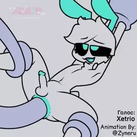 average zyneru experience [Zyneru] RUS voice