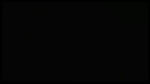 The Party & The After Party (feat. XO Girls)