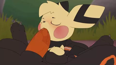 Pichu succ
