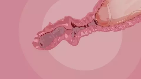 Honkai Star Rail - Firefly [Compilation]