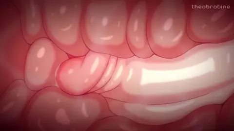 Theobrobine Futa Compilation