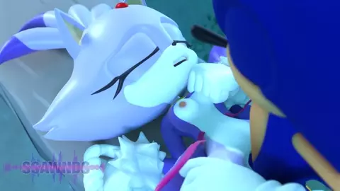 A night to remember - Sonic x Blaze