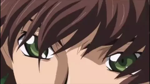 Suzaku wants to know more about Kallen