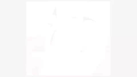 HOLIDAY HEDGEHOGS [HereApathy & KaiArtz]