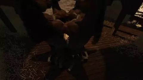 Tifa Lockhart and her 6 Horsies (Trailer)