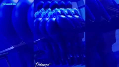 My Bass Slut Cortana PMV∕HMV! By CortanaLoverSystem71