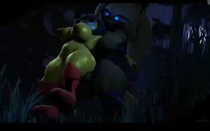 Honey the cat x whisper