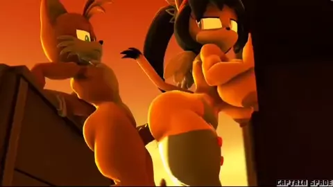 Honey the cat x tails