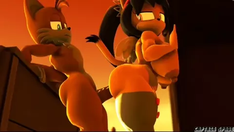 Honey the cat x tails