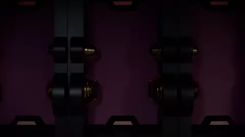 New-chan vs. Acme Laser [Furui_1111]