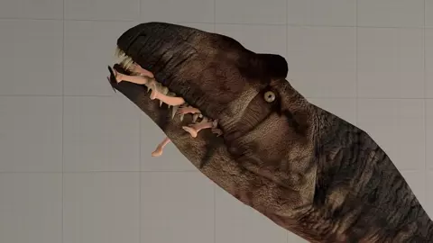 Allosaurus shallow bu thelittleboot