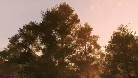 A Little Something PMV (Anoana ft. Wildchild)