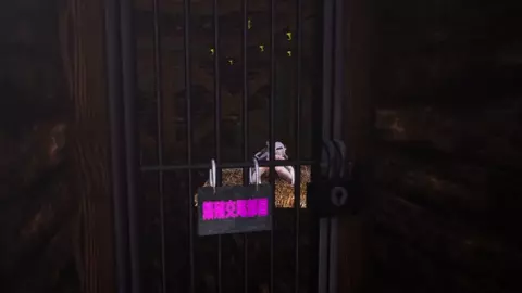 HonkaiStarRail - Firefly