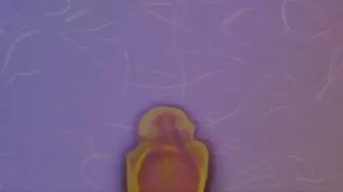 PARA PARA [Chun li EDIT]