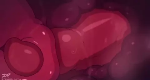 Knotting Pussy X-Ray (ZonkPunch)