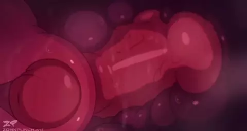 Knotting Pussy X-Ray (ZonkPunch)