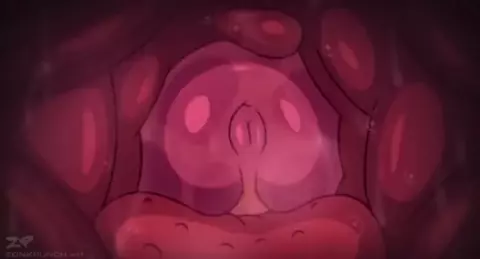 Deepthroat Loop X-Ray (ZonkPunch)