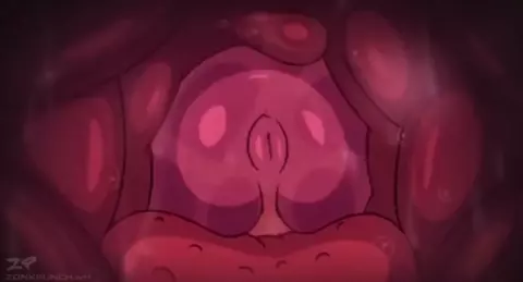 Deepthroat Loop X-Ray (ZonkPunch)