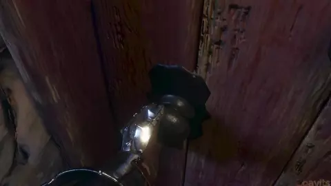 WutIWant HMV- Zoavits