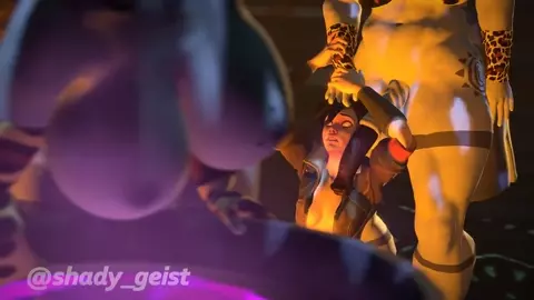 2 Futa zebras on Tracer