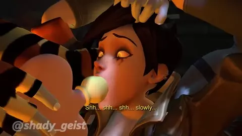 2 Futa zebras on Tracer