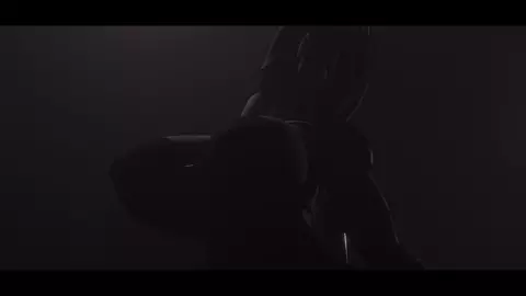 Wennie the zebra poledance