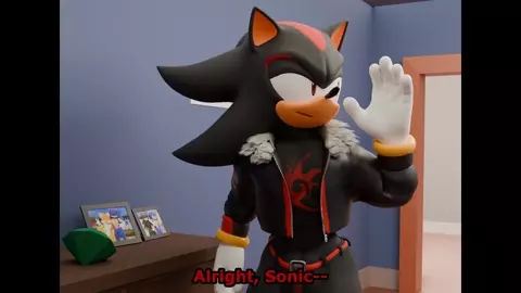 Sonic and Shadow make the most out of of it