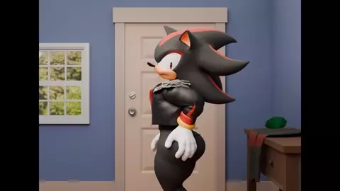 Sonic and Shadow make the most out of of it