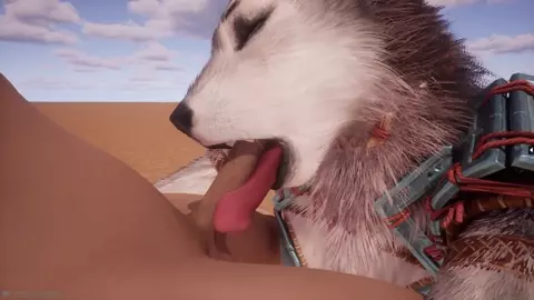 Wild Life - 13 No Commentary