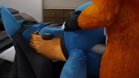 Lucario Needs Attention