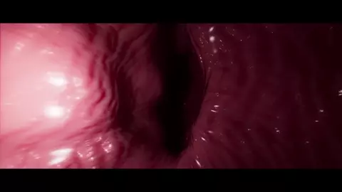 Hunter Gamma Breeding w/music