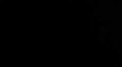 [TRAILER]  The Lifeline encounter