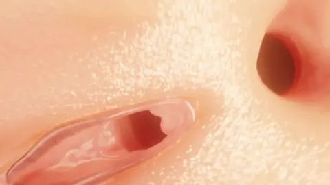 Anal vore by ultra g