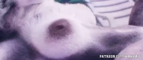 sheep knotted by a doggy