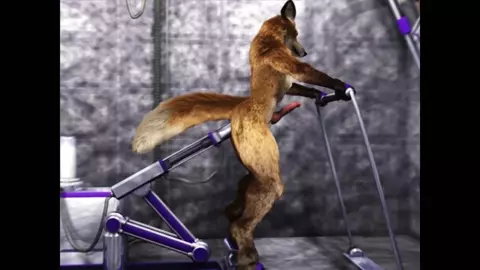 Yiffing Machine Taurin Fox