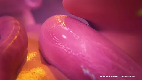 Samus Tentacle Oviposition [NestLabs]