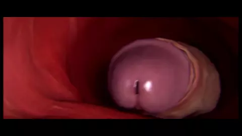 Futa Ashley Williams fucks futa Femshep [Mass Effect futanari]