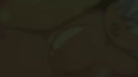 Rouge the bat HMV | Futaslover