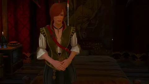 Shani - Brothel Scenes『Witcher 3』