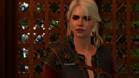 Ciri - Brothel Scenes『Witcher 3』