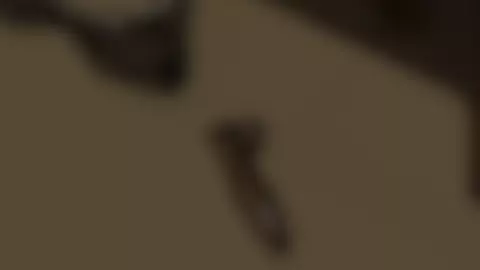 Xilonen X Futa Mavuika Mating Press