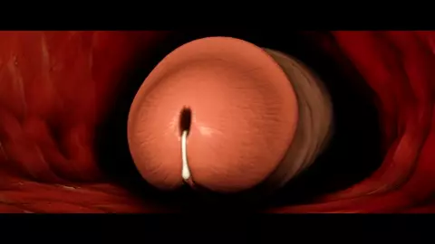 Futa Chun-Li and Cammy fuck 9S