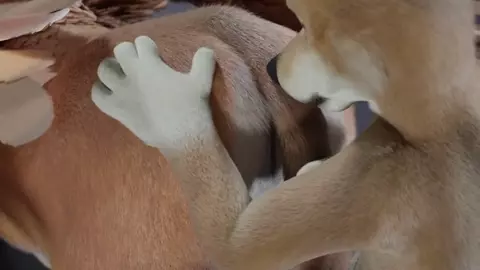 Unbirth by untied verbegar